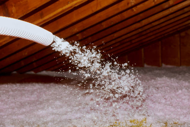 Best Residential Insulation in Calcutta, OH