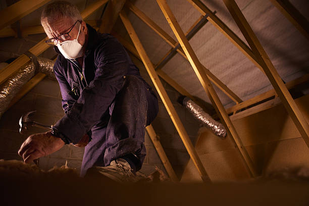 Best Specialized Insulation Services in Calcutta, OH