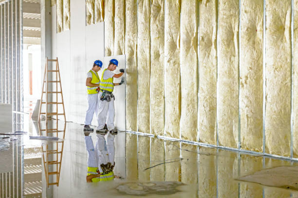Best Spray Foam Insulation in Calcutta, OH